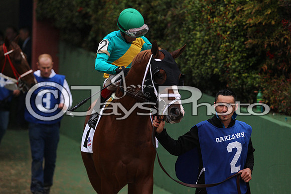 Oaklawn (Rebel Stakes Day) 3-14-2015 (©Justin Manning) JWM_157