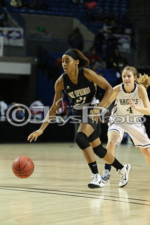 Pulaski Academy vs. Hot Springs 5A Girls State Finals 3-14-2015 (©Justin Manning) JWM_160