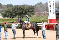 Oaklawn Park 3-3-13 JWM0008 (© Angela Greb)