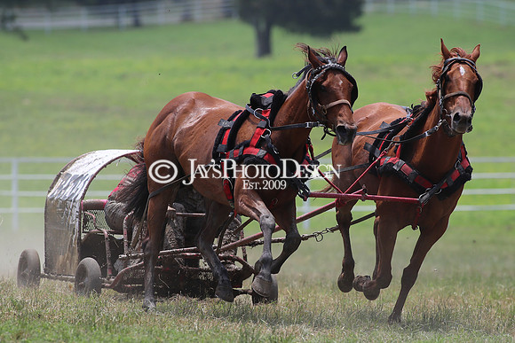 Whiskey Ridge Ranch (Chuckwagon Races) 5-26-24_JWM_0241