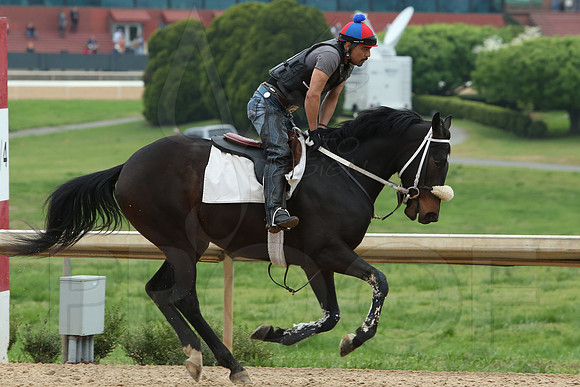 Arkansas Derby 4-11-2014 (© Justin Manning) JWM_0187