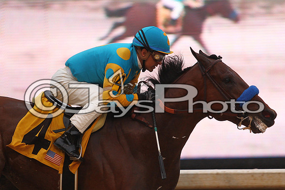 Oaklawn (Rebel Stakes Day) 3-14-2015 (©Justin Manning) JWM_366