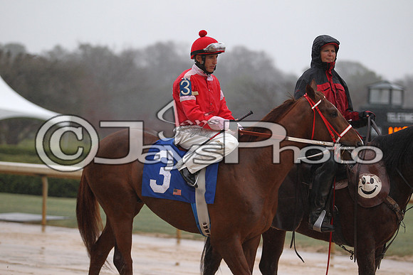 Oaklawn (Rebel Stakes Day) 3-14-2015 (©Justin Manning) JWM_239