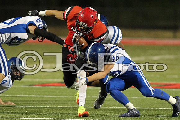 Bismarck @ Harmony Grove 10-2-2015 (©Justin Manning) JWM_0266