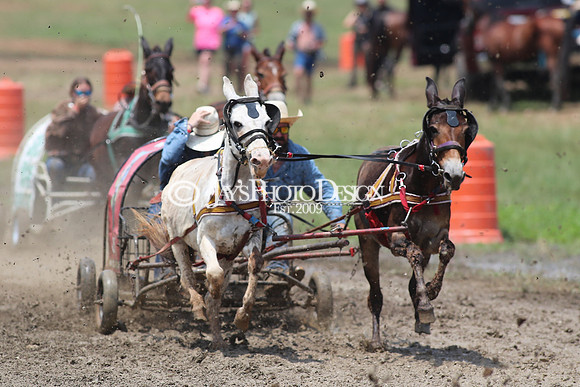 Whiskey Ridge Ranch (Chuckwagon Races) 5-25-24_JWM_0584