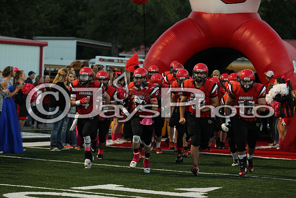 Bismarck @ Harmony Grove 10-2-2015 (©Justin Manning) JWM_0152