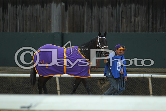 JWM_170116_SmartyJones_00263_manning