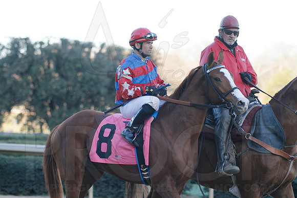 Oaklawn 1-21-13 (Smarty Jones Stakes) (Justin Manning)0180