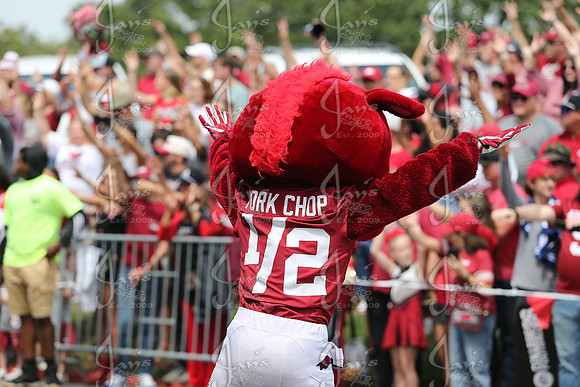 Arkansas State @ Arkansas 9-6-25_JWM_1285