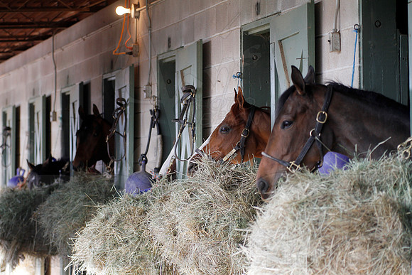 Oaklawn 1-11-13 (Justin Manning)0041
