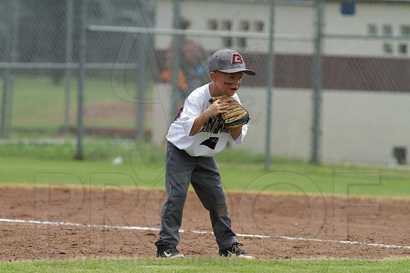 Benton vs. Sylvan Hills 5-6 year old All Stars 7-11-2014 (©Justin Manning) JWM_172
