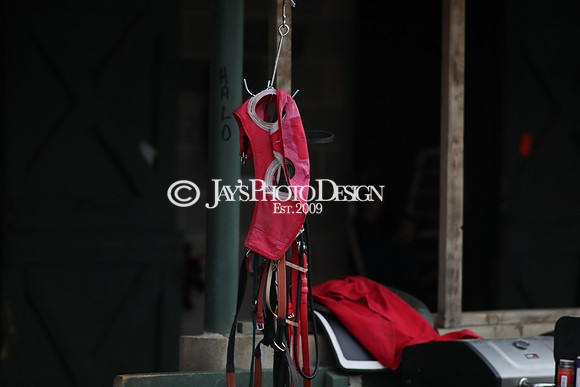 z250104_SmartyJonesStakesDay _JWM_0153