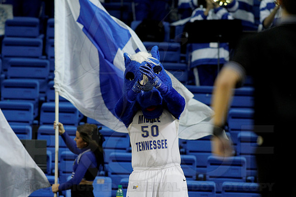 Middle Tennessee vs ULM  Women's 3-9-13 JWM0105 (©Justin Manning)