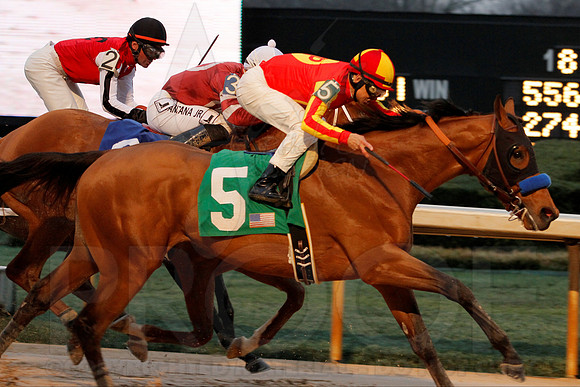 Rebel Stakes 3-15-14 3-15-2014 (© Justin Manning) JWM_0247