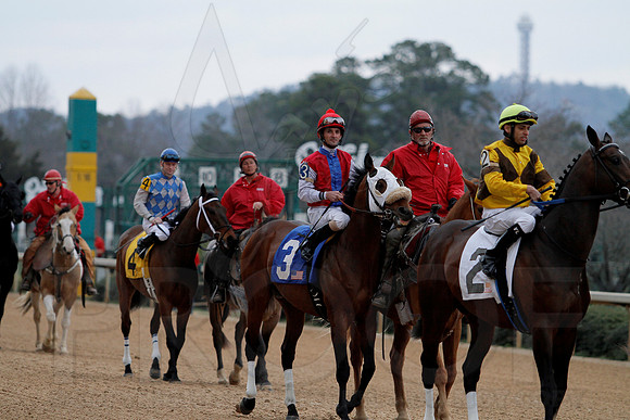 The 54th running of the Razorback Handicap 3-9-13 JWM0168 (©Justin Manning)