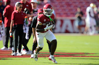 Notre Dame @ Arkansas 9-27-25_JWM_0329
