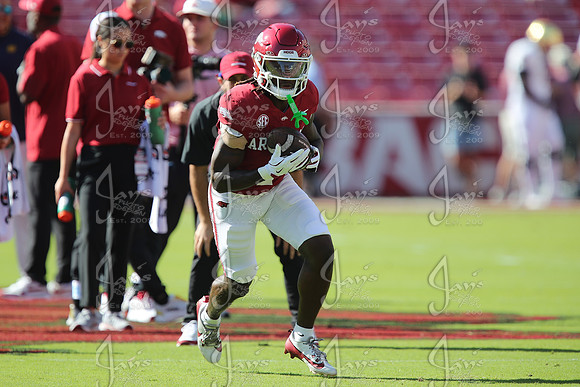 Notre Dame @ Arkansas 9-27-25_JWM_0329