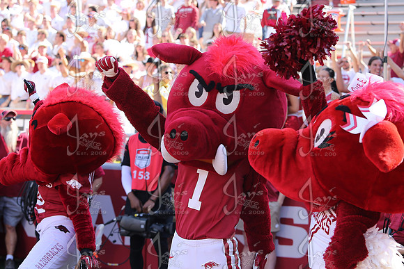 Notre Dame @ Arkansas 9-27-25_JWM_0029