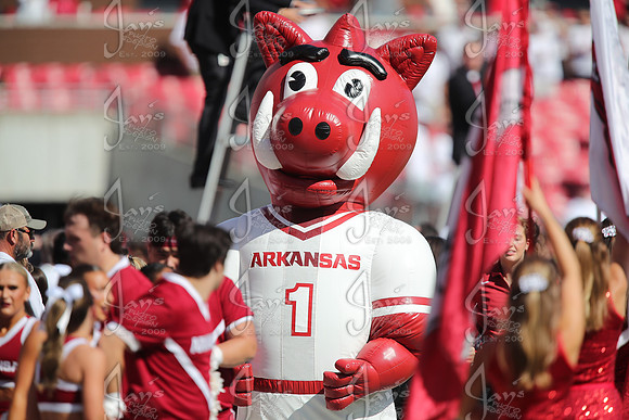 Notre Dame @ Arkansas 9-27-25_JWM_0472