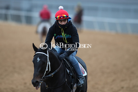 z250104_SmartyJonesStakesDay _JWM_0033