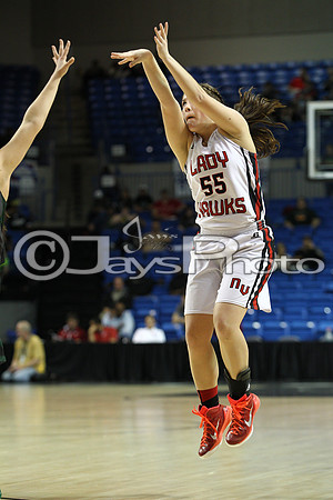 Nemo Vista vs. Wonderview 1A Girls State Finals 3-12-2015 (©Justin Manning) JWM_164