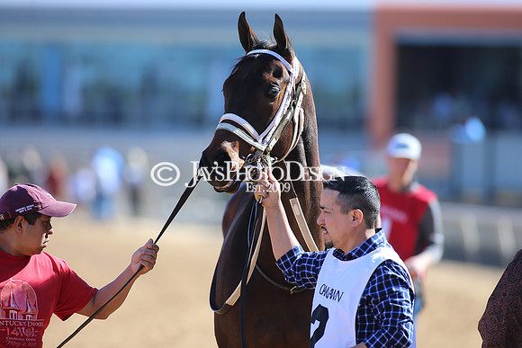 z220319_WhitmoreStakesday_Manning_0167