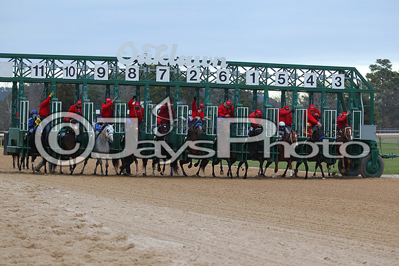 Oaklawn Smarty Jones Stakes 1-18-2016 (©Justin Manning) JWM_(0383
