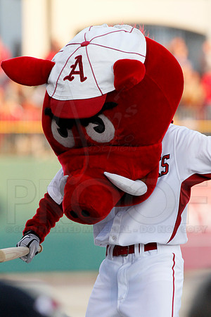 Miss Valley State @ Arkansas Baseball 3-27-13 (© Justin Manning) JWM0062