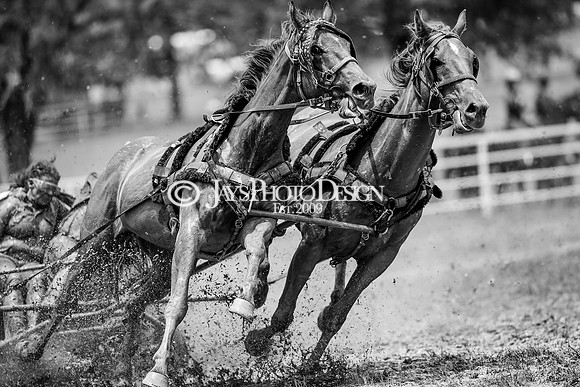 Whiskey Ridge Ranch (Chuckwagon Races) 5-25-24_JWM_0154-2