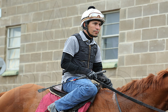 Arkansas Derby 4-11-2014 (© Justin Manning) JWM_0167