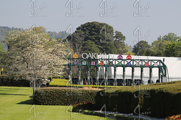 Apple Blossom Stakes Day 4-12-25_JWM_0021