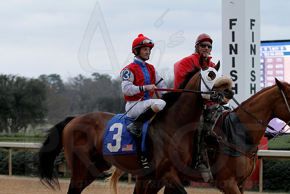 The 54th running of the Razorback Handicap 3-9-13 JWM0178 (©Justin Manning)