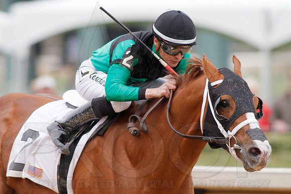 Fantasy Stakes 4-5-2014 (© Justin Manning) JWM_0233