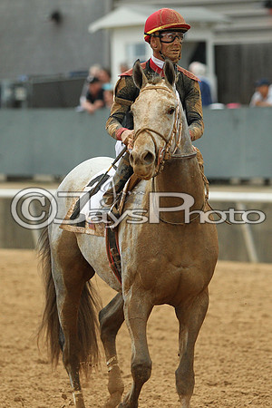 Southwest Stakes (GradeIII) 2-20-17_JWM00962