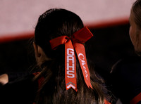 Danville @ Glen Rose 11-7-25_JWM_1083