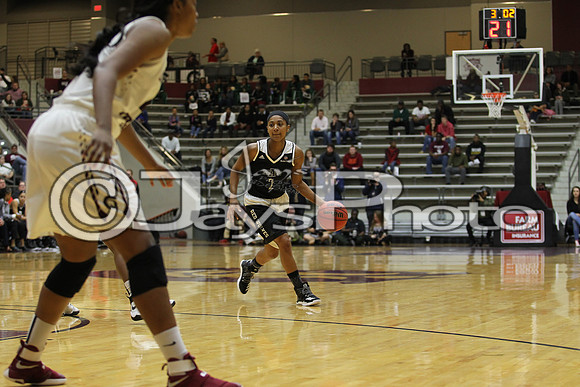 Arkansas State @ Little Rock Women's Basketball 1-14-17_JWM_00110