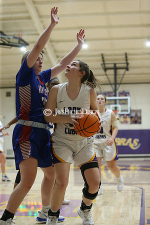 Arkadelphia @ Fountain Lake 1-19-21_JWM0630