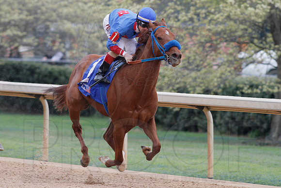 Fantasy Stakes 4-5-2014 (© Justin Manning) JWM_0842
