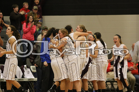 Lamar vs. Perryville Girls 3A State 3-6-2015 (©Justin Manning) JWM_198