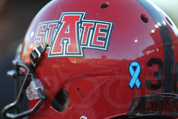 Missouri @ Arkansas State 9-12-2015 (©Justin Manning) JWM_0146