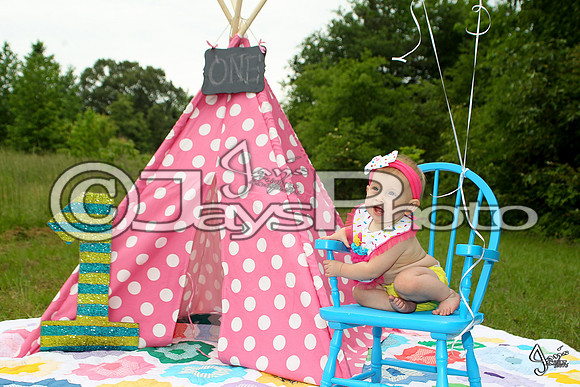 Camden's 1st Birthday pictures_0662