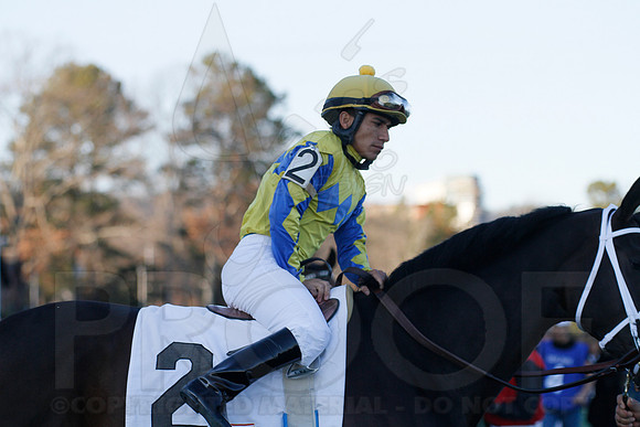 Oaklawn 1-21-13 (Smarty Jones Stakes) (Justin Manning)0124
