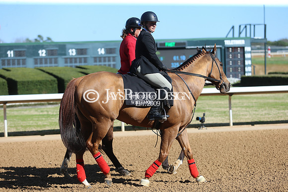 z220319_WhitmoreStakesday_Manning_0364