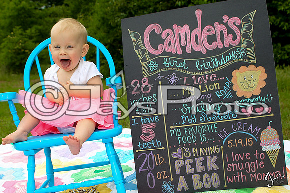 Camden's 1st Birthday pictures_0333
