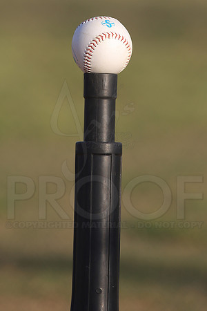 White Sox vs Angels 4-22-13 (©Justin Manning) JWM0179