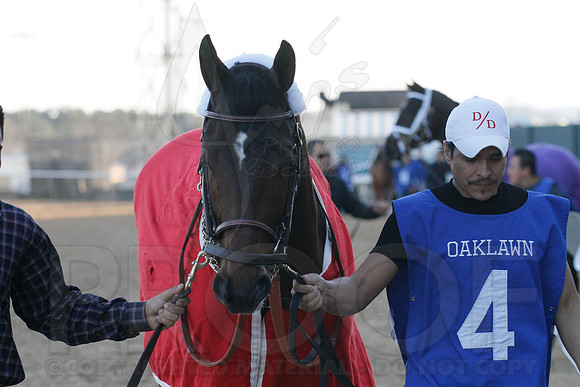 Oaklawn 1-21-13 (Smarty Jones Stakes) (Justin Manning)0064