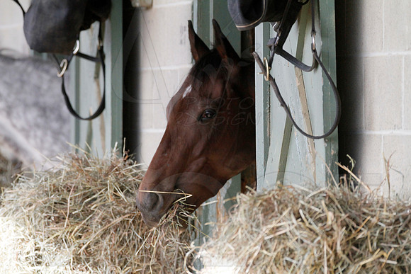 Oaklawn 1-11-13 (Justin Manning)0027