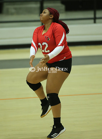 Camden Fairview @ Malvern JV_JWM_0043
