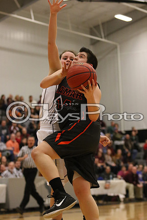 Lamar vs. Perryville Girls 3A State 3-6-2015 (©Justin Manning) JWM_180