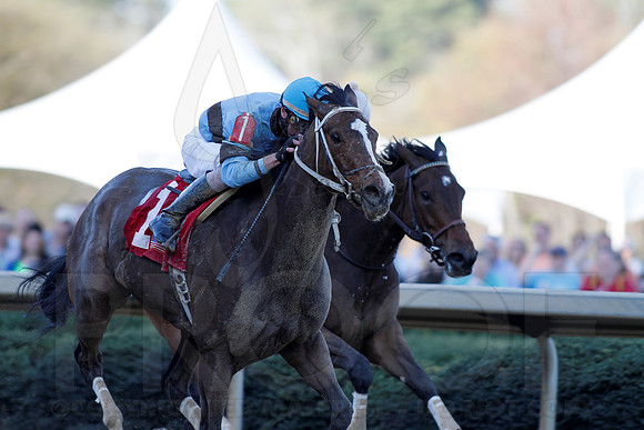 Azeri Stakes 3-16-13 (© Justin Manning) JWM0226